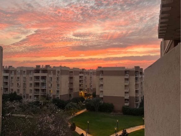 1f4a6950 fc3e 4ce9 85ca 4f12cbfd94d6