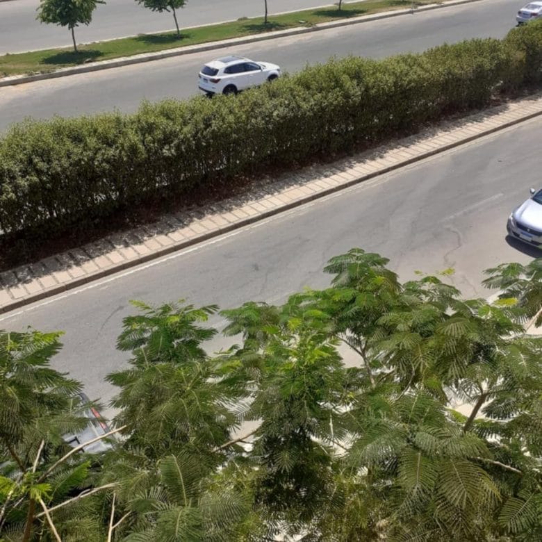 49975a60 166c 42c6 9566 caef177053ce