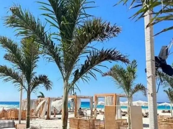 WhatsApp Image 2025 02 21 at 1.41.37 AM