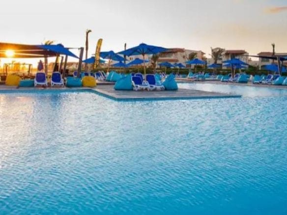 WhatsApp Image 2025 02 21 at 1.41.38 AM 1