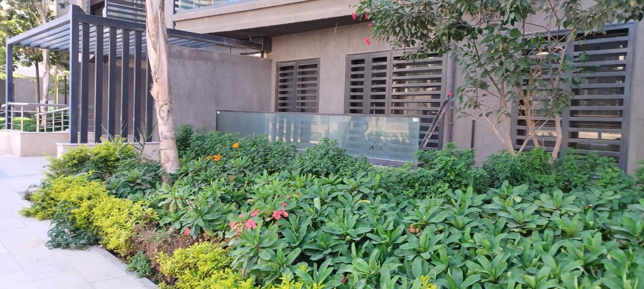 WhatsApp Image 2025 12 07 at 17.36.43 a91133fe