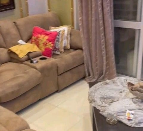 WhatsApp Image 2025 12 28 at 12.20.56 AM