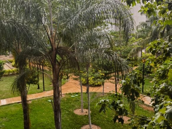 WhatsApp Image 2025 12 28 at 9.55.26 PM